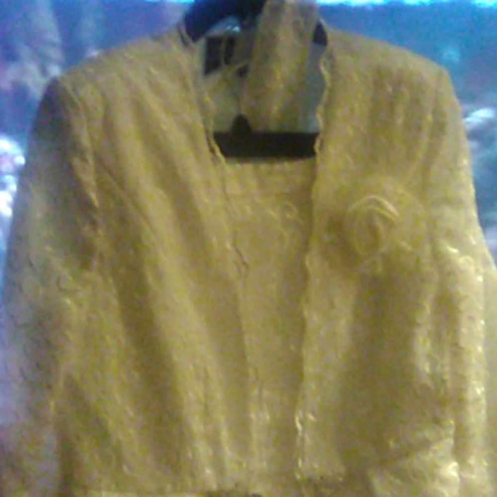 Women's suit with a skirt